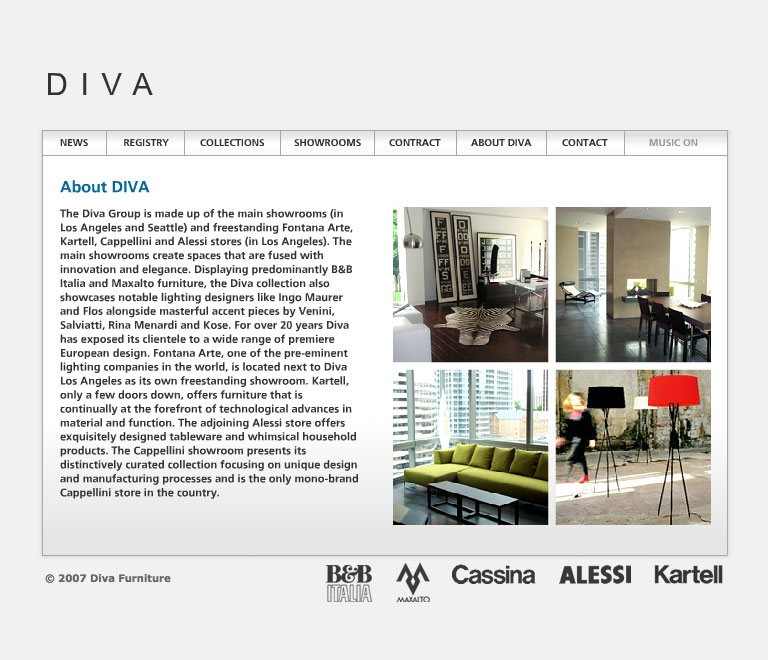 Diva website - About section