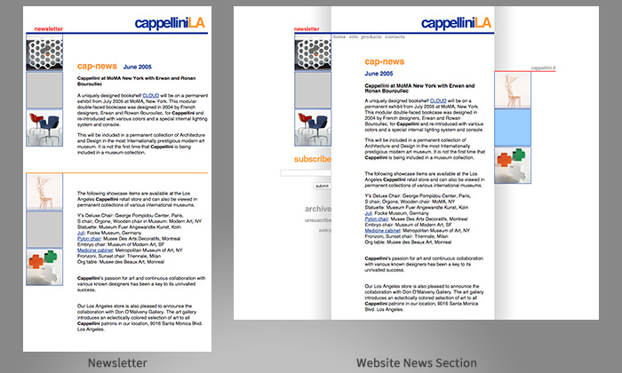 Two panels with newsletter and website news section design - Jun 2005